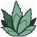 Agave Cactus Plant Icon