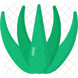 Agave  Icon