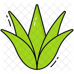 Agave  Icon