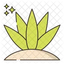 Agave  Icon