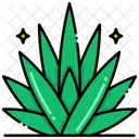 Agave Cactus Green Icon