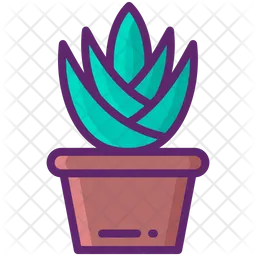 Agave  Icono