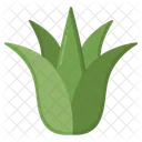Agave Cactus Verde Icono