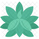 Agave Fox Tail Icon