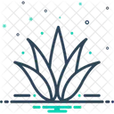 Agave  Icon