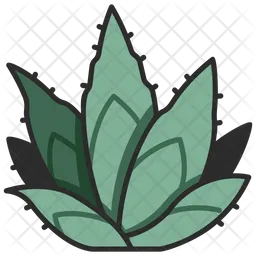 Agave  Icon