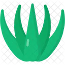 Agave  Icon