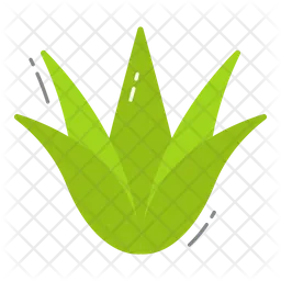Agave  Icon