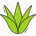 Agave  Icon
