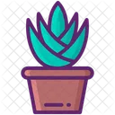 Agave  Icon