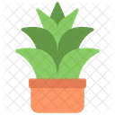 용설란 식물  아이콘