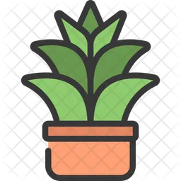 Agave Plant  Icon