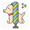 Agility Training  Icon