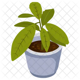 Aglaonema-Pflanze  Symbol