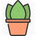 Aglaonema-Pflanze  Symbol