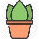Aglaonema Plant Icon