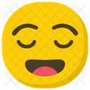 Emoji Triste Emoticon Sorridente Ícone