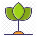 Agriculture Eco Plant Icon
