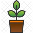 Agriculture Eco Ecology Icon