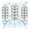 Agriculture Fields Wheat Farming Crops Fields Icon
