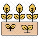 Nature Agriculture Farm Icon