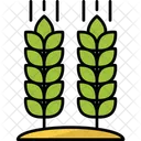 Agriculture  Icon