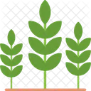 Agriculture  Icon