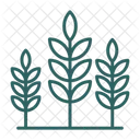 Agriculture  Icon