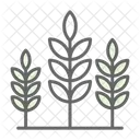 Agriculture  Icon