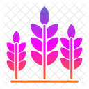 Agriculture  Icon