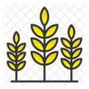 Agriculture  Icon