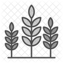 Agriculture  Icon