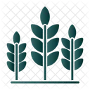 Agriculture  Icon