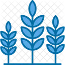 Agriculture  Icon