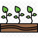 Agriculture Field Farm Icon