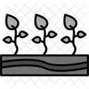 Agriculture Field Farm Icon