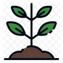 Agriculture  Icon