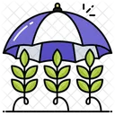 Agriculture Insurance  Icon