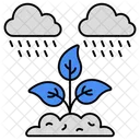 Agriculture Rainfall  Icon