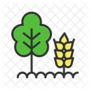 Agroforestry  Icon