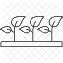 Agroforestry Nursery Agroforestry Nursery Icon