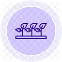 Agroforestry Nursery Agroforestry Nursery Icon