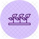 Agroforestry Nursery Agroforestry Nursery Icon