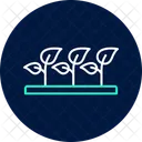 Agroforestry Nursery Agroforestry Nursery Icon