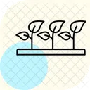 Agroforestry Nursery Agroforestry Nursery Icon