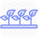 Agroforestry nursery  Icon
