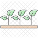 Agroforestry nursery  Icon