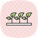Agroforestry nursery  Icon