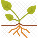 Agronomía  Icono