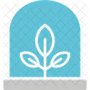 Agronomy  Icon